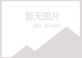 黑河字迹美容有限公司